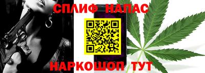 амф Новозыбков