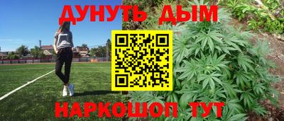 стафф Новокубанск