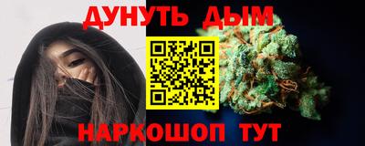 альфа пвп Новодвинск