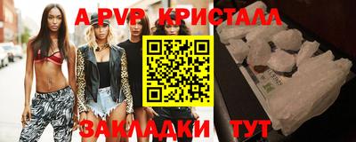 стафф Новокубанск