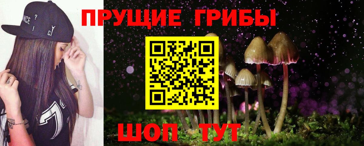 Галлюциногенные грибы Psilocybine cubensis  Вход с VPN  Унеча  Галлюциногенные грибы Psilocybine cubensis 