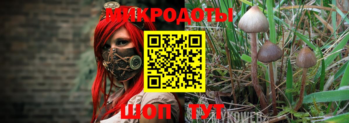 Псилоцибиновые грибы мицелий Унеча